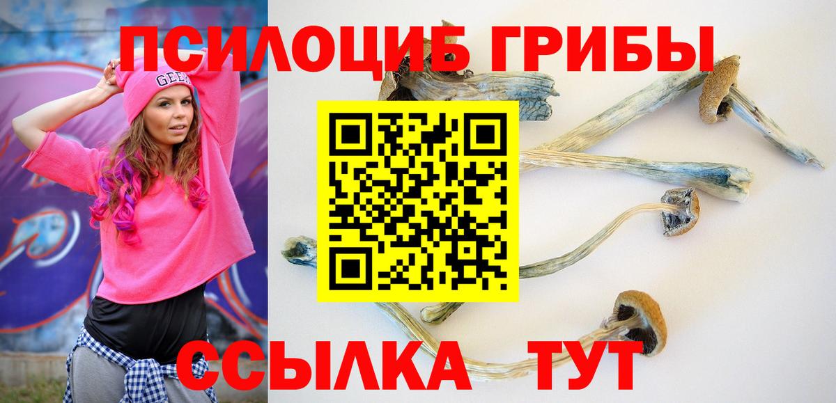 Вичуга  что такое наркотик  Вход с VPN  Псилоцибиновые грибы Magic Shrooms 