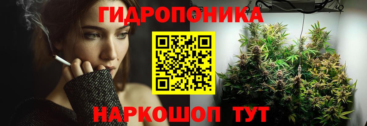 Бошки Шишки Bruce Banner Вичуга